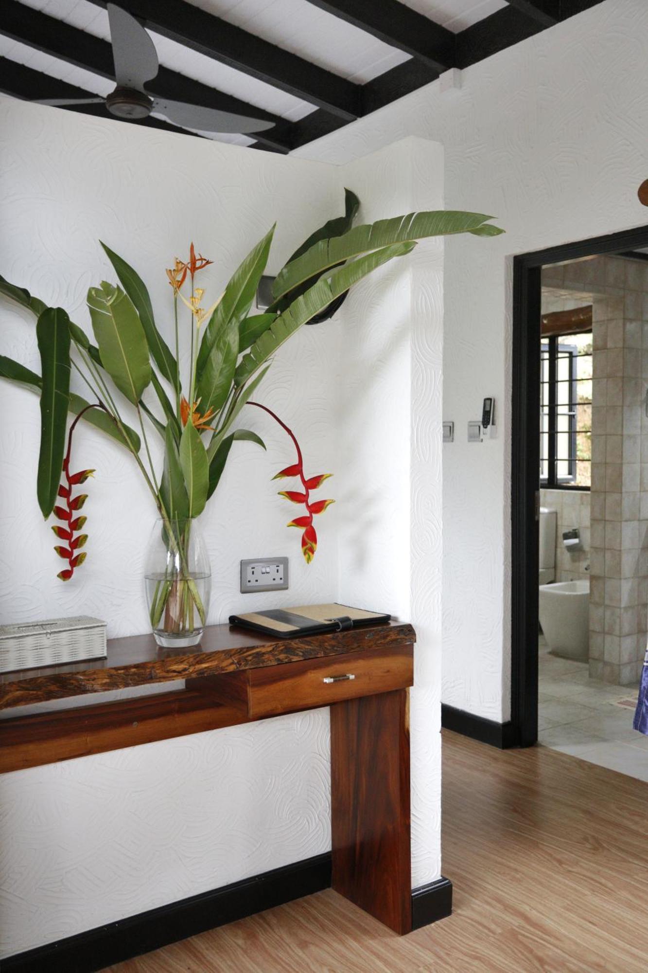 The Salty Palms Apartman *